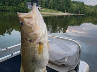 197 War Eagle Dr, Cedar Grove, TN 38321