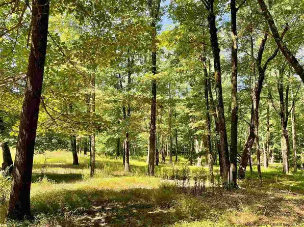 TBD Lower Whitfield, Accord, NY 12404