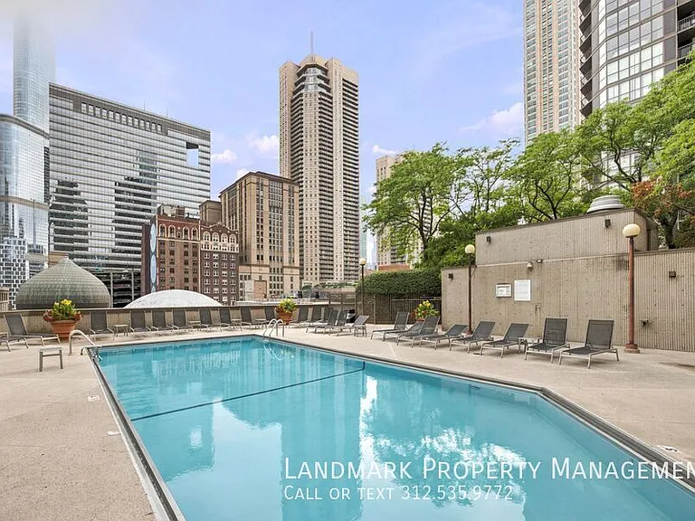 10 E Ontario St #4908 — Photo 42