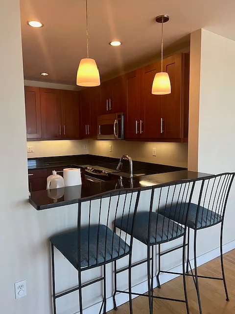 2 bed, 1240 sqft, $3,500 — Photo 4