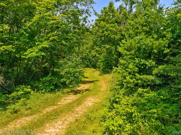 Vl McKee Rd, Johannesburg, MI 49751