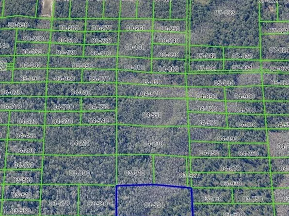 0 Dill Rd, Christmas, FL 32709