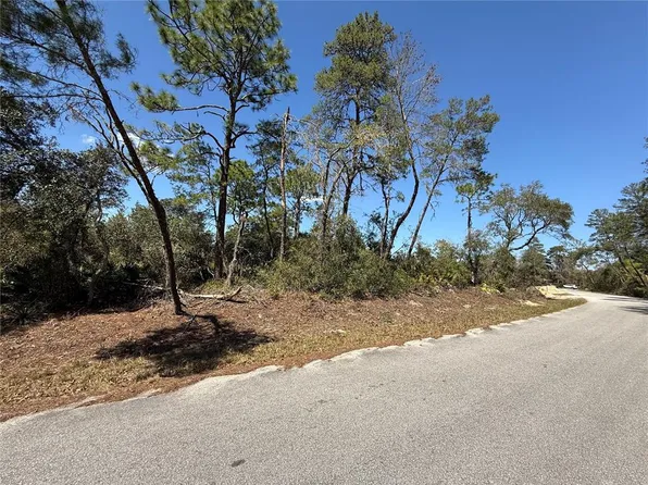 Fisher Run Ter Lot 18, Ocklawaha, FL 32179