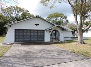 12518 Elgin Blvd, Spring Hill, FL 34609