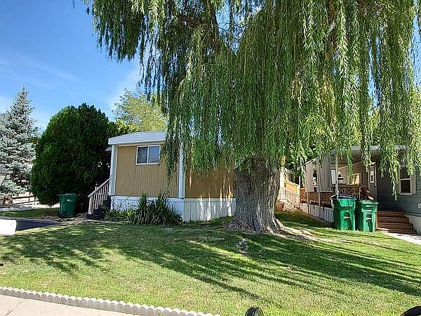 Willow Gone Cherry Tree OK 