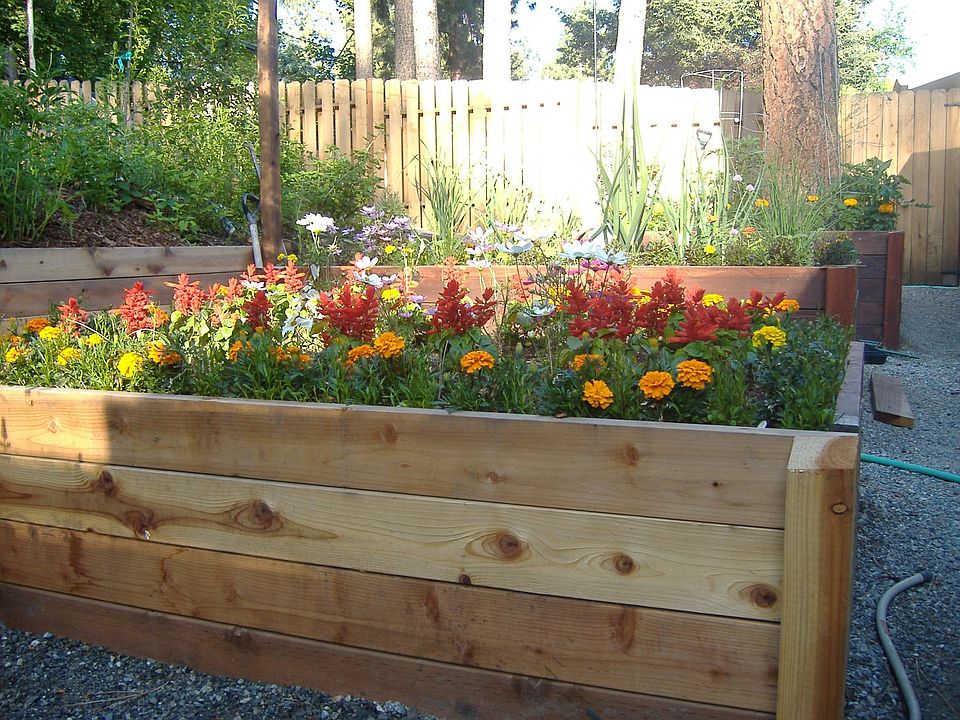 Raised Garden Beds