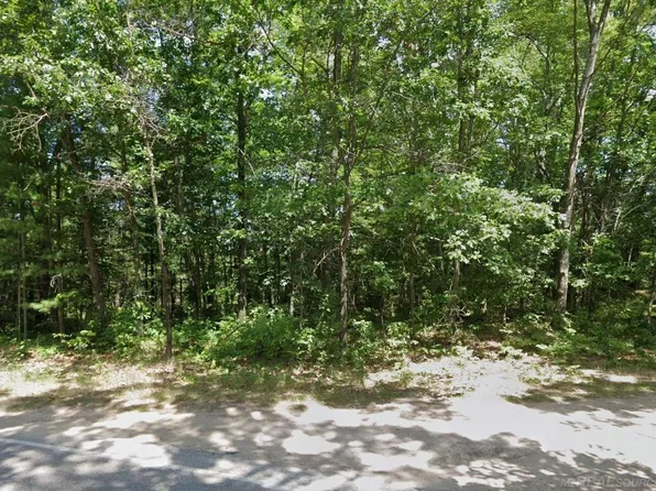 8656 N Blair Dr, Bitely, MI 49309