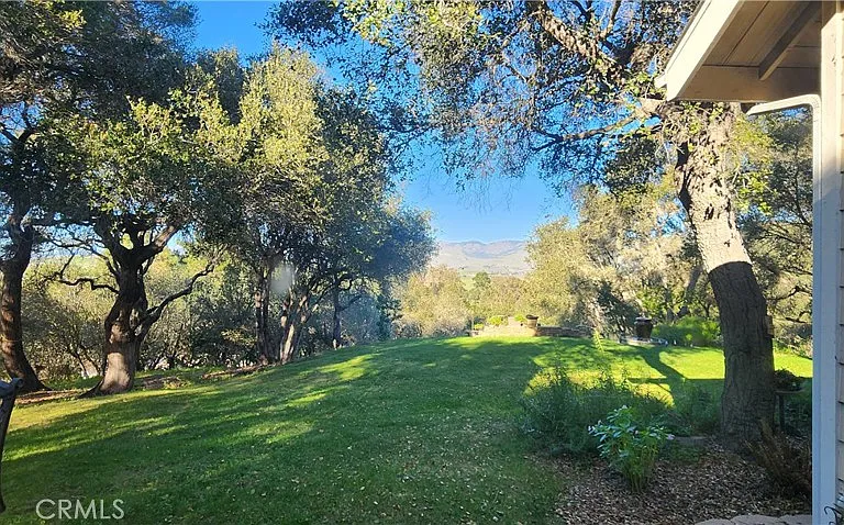 1961 Vineyard View Ln — Photo 6