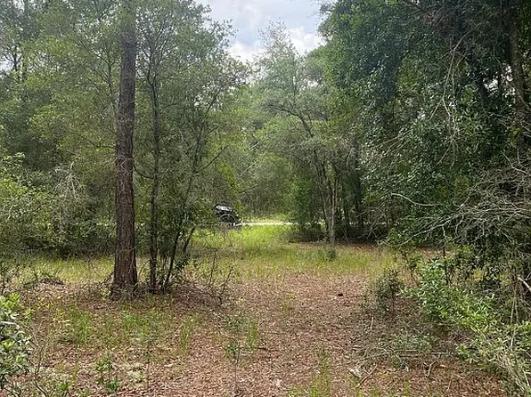 0 Faculty St Lot 6, Webster, FL 33597