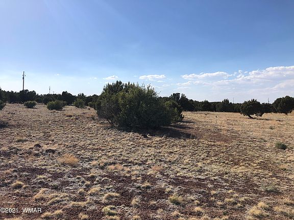 3rd image of 8508 Ossendorf Pl