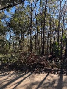 LOT 3 Blue Heron Ln SE, Darien, GA, 31305