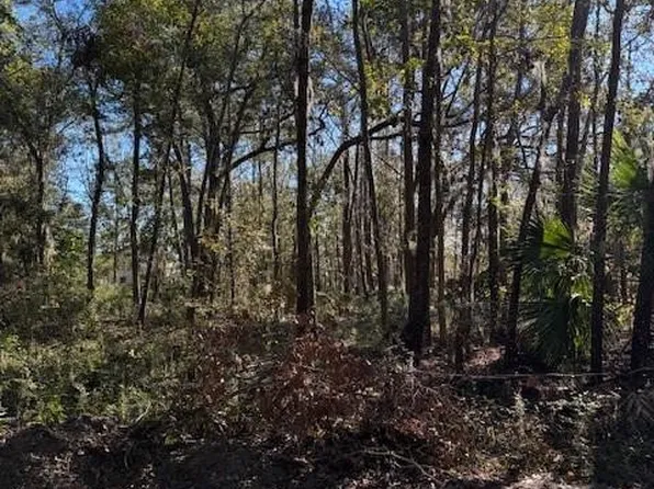 LOT 3 Blue Heron Ln SE, Darien, GA 31305