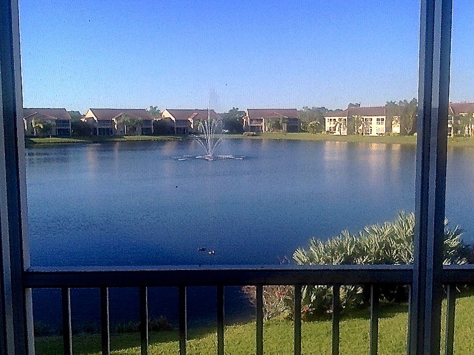 Lighted fountain lake view