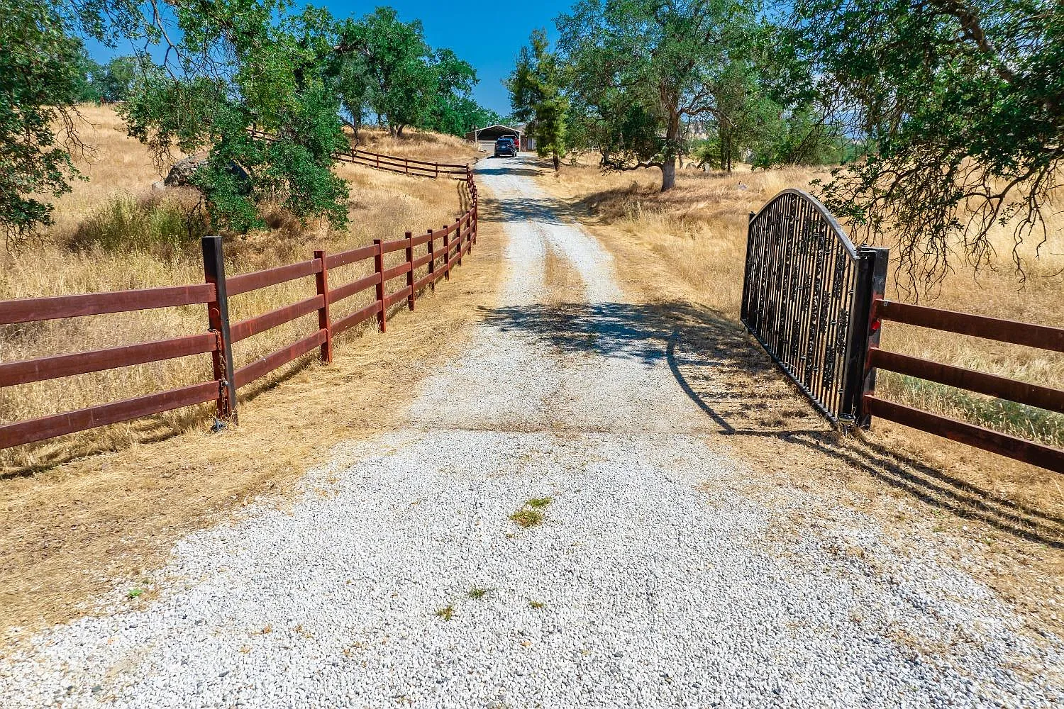 14764 Buggy Whip Ln photo 1