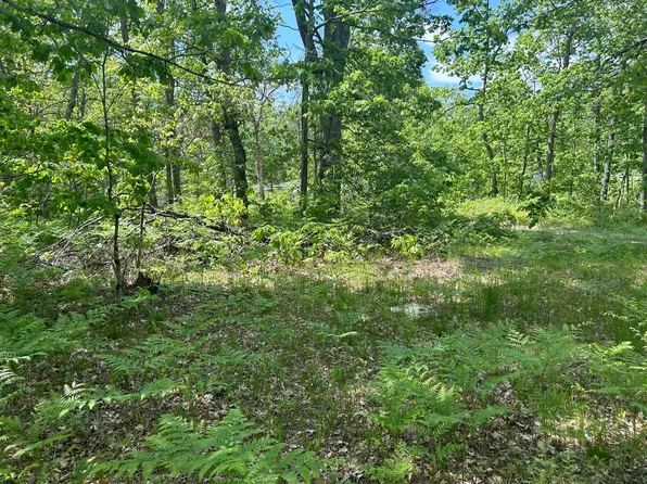 V/l East St, Idlewild, MI 49642