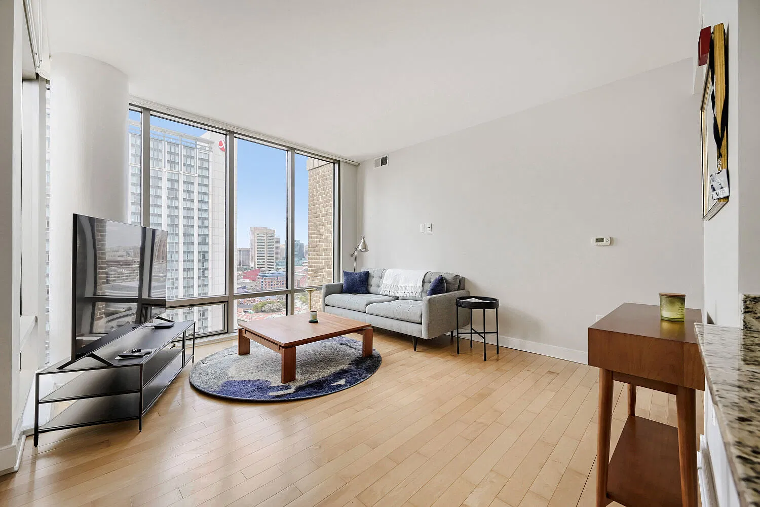 1 bed, 862 sqft, $2,495 — Photo 3