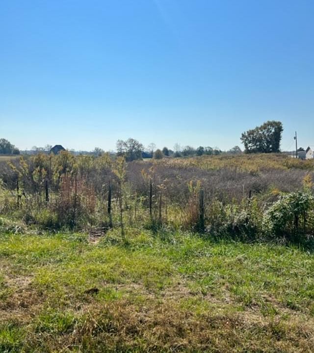 0 Plum Creek Dr 0, Vincent, AL 35178 MLS 1338233 Zillow