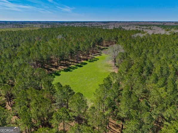 5455 Harrison Davisboro Rd, Davisboro, GA 31018