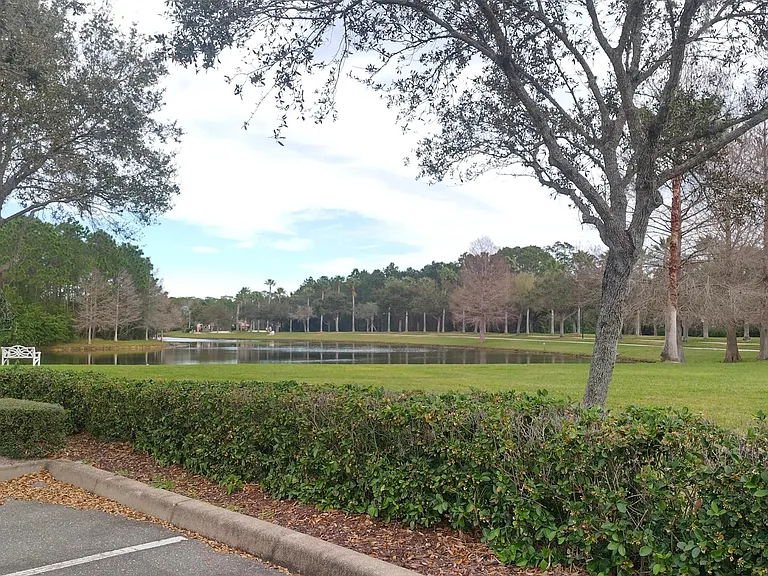1643 Areca Palm Dr — Photo 18