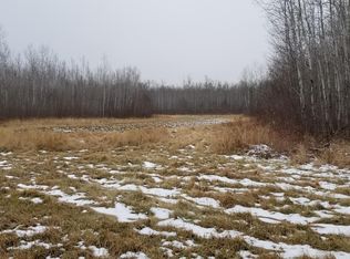 Ne1/4 Sw1/4 #S9-T61N-R25W, Effie, MN 56639