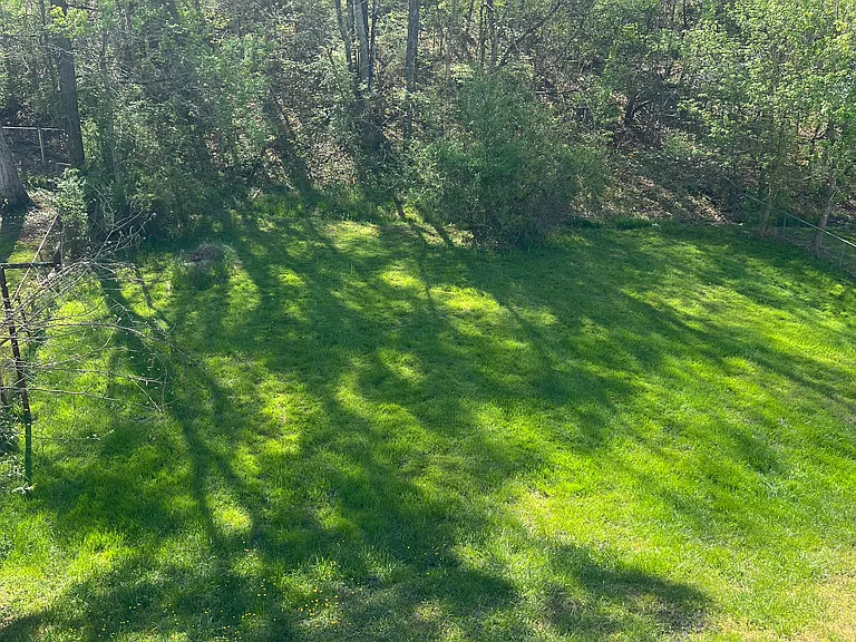 2824 Carrollwood Heights Rd — Photo 20