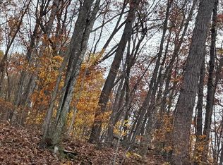 0 Bent Mountain Rd, Lerona, WV 25971