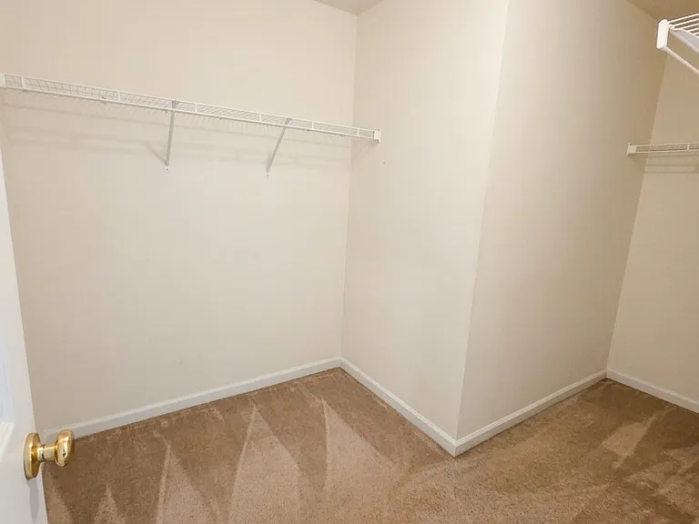 439 Flowering Magnolia Dr — Photo 8