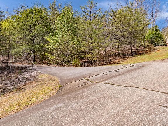 4th image of Jobes Trl #29