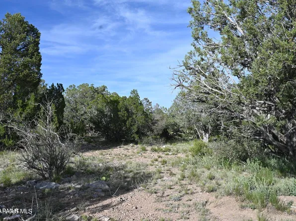 52084 N Calle Ciervo, Seligman, AZ 86337