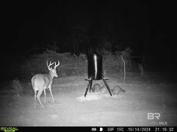 33950 Highway 41, Repton, AL 36475