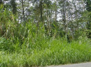 23rd Ave LOT 1124, Keaau, HI 96749