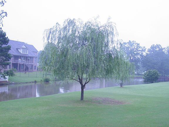4th image of 304 Trenton Cir