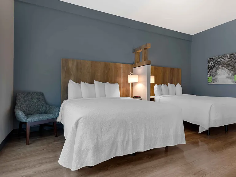 Superior Studio - 2 Full Beds