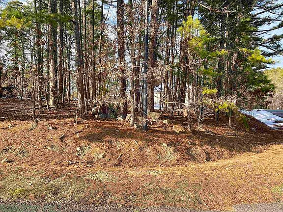 3rd image of 4 Hanares Ln