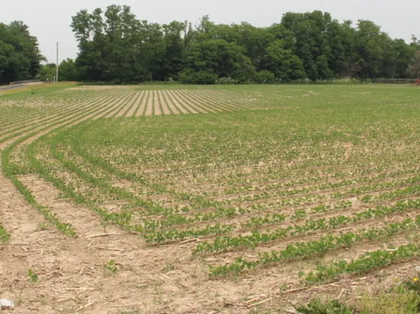 5400 Paintball Rd, Clinton, IL 61727