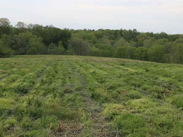 1A Upper Lick Rd, Carlisle, KY 40311