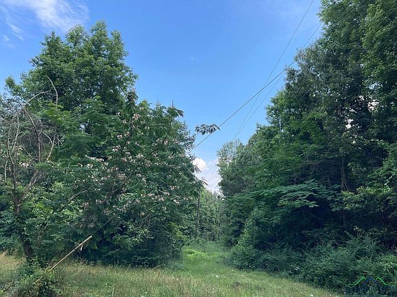 4th image of 146 County Road 4454