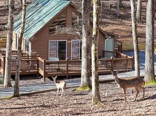 8 Hampton Ct, Ellijay, GA 30540