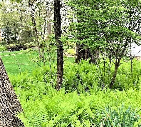 5th image of 3558 Timberlane Dr