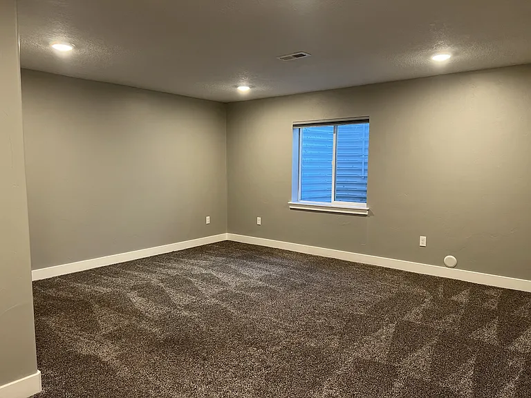 Basement Family Room