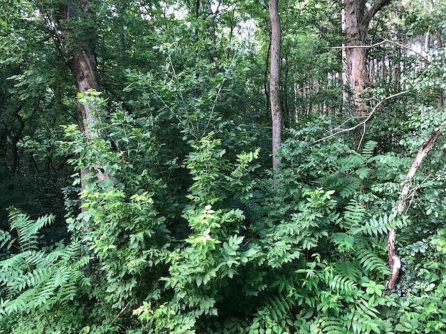 2nd image of 27640 W Cuba Rd