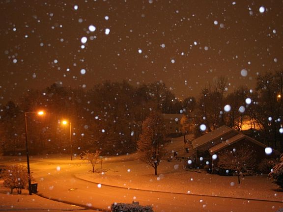 Tiftonia Dr winter2