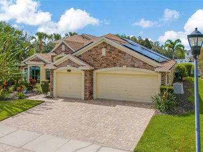 19361 Yellow Clover Dr, Tampa, FL, 33647
