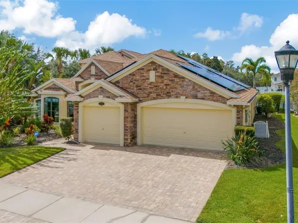 19361 Yellow Clover Dr, Tampa, FL 33647