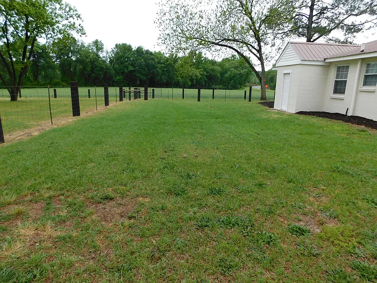 529 Old Mount Olive Hwy — Photo 6