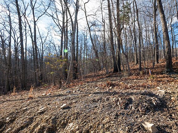 4th image of LOT 21 Cardinal Dr
