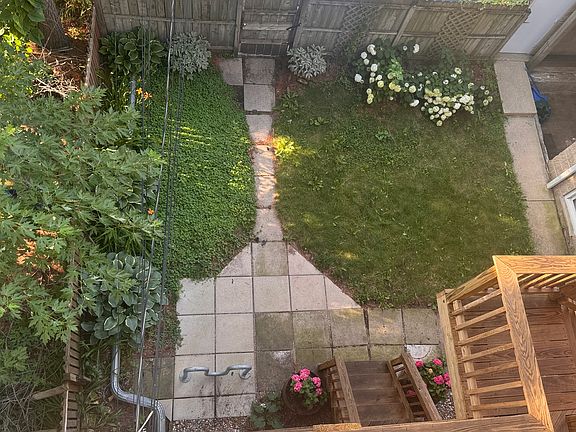 Back yard