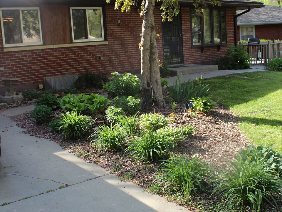 front yard