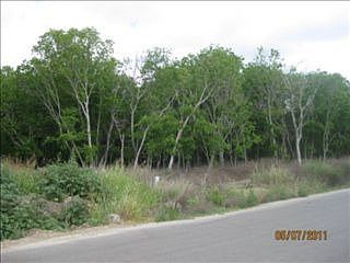 3rd image of 327 River Park Dr