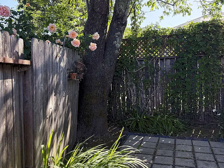 887 Lorna Dr — Photo 17